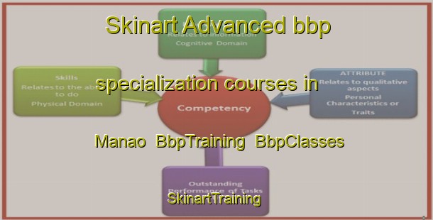Skinart Advanced bbp specialization courses in Manao | BbpTraining | BbpClasses | SkinartTraining-Philippines