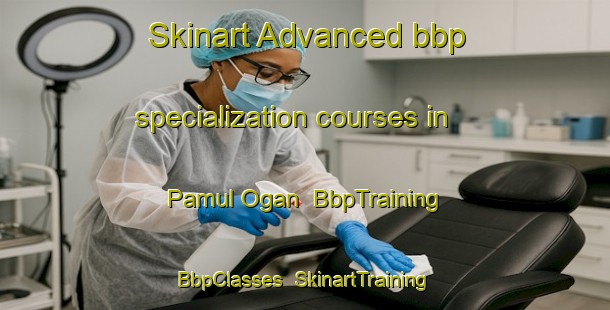 Skinart Advanced bbp specialization courses in Pamul Ogan | BbpTraining | BbpClasses | SkinartTraining-Philippines