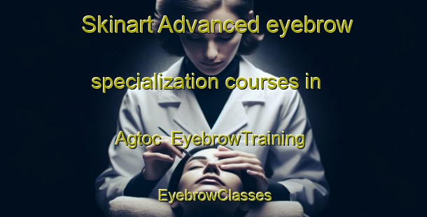 Skinart Advanced eyebrow specialization courses in Agtoc | EyebrowTraining | EyebrowClasses | SkinartTraining-Philippines