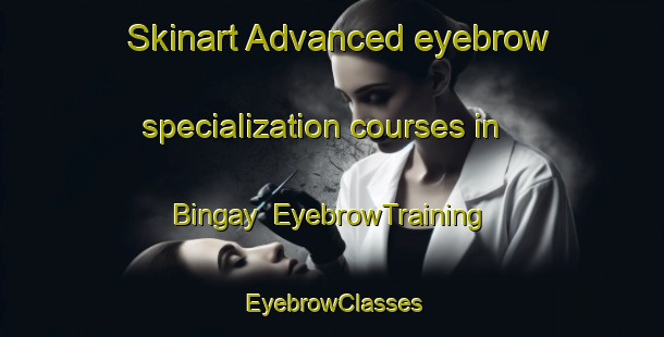 Skinart Advanced eyebrow specialization courses in Bingay | EyebrowTraining | EyebrowClasses | SkinartTraining-Philippines