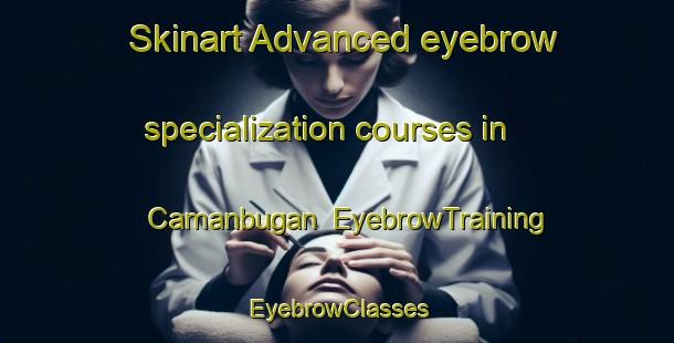 Skinart Advanced eyebrow specialization courses in Camanbugan | EyebrowTraining | EyebrowClasses | SkinartTraining-Philippines