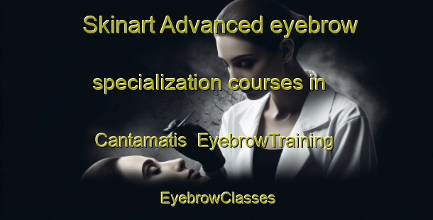 Skinart Advanced eyebrow specialization courses in Cantamatis | EyebrowTraining | EyebrowClasses | SkinartTraining-Philippines