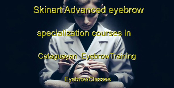 Skinart Advanced eyebrow specialization courses in Cataguayan | EyebrowTraining | EyebrowClasses | SkinartTraining-Philippines