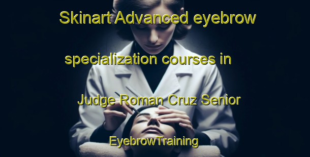 Skinart Advanced eyebrow specialization courses in Judge Roman Cruz Senior | EyebrowTraining | EyebrowClasses | SkinartTraining-Philippines