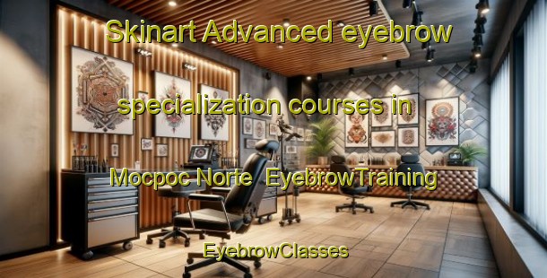 Skinart Advanced eyebrow specialization courses in Mocpoc Norte | EyebrowTraining | EyebrowClasses | SkinartTraining-Philippines