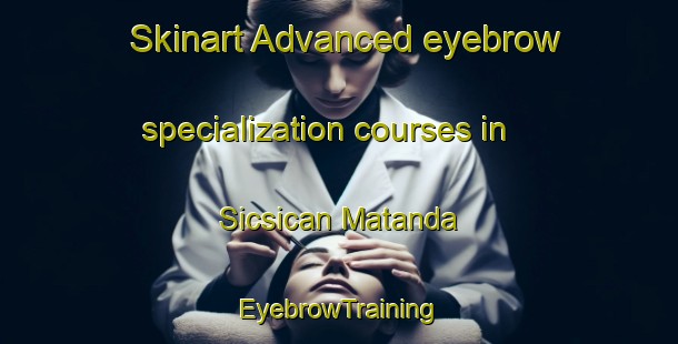 Skinart Advanced eyebrow specialization courses in Sicsican Matanda | EyebrowTraining | EyebrowClasses | SkinartTraining-Philippines