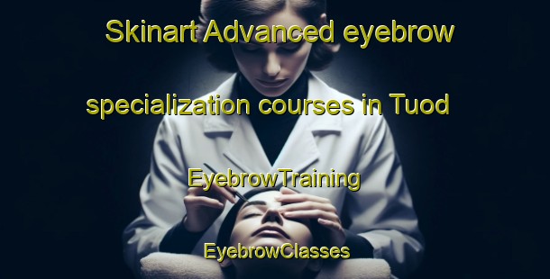 Skinart Advanced eyebrow specialization courses in Tuod | EyebrowTraining | EyebrowClasses | SkinartTraining-Philippines