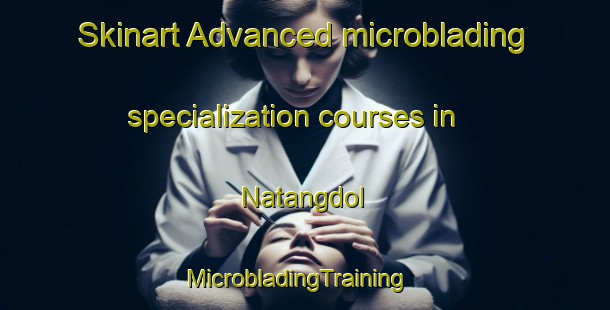 Skinart Advanced microblading specialization courses in Natangdol | MicrobladingTraining | MicrobladingClasses | SkinartTraining-Philippines