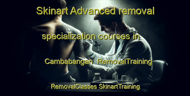 Skinart Advanced removal specialization courses in Cambabangan | #RemovalTraining #RemovalClasses #SkinartTraining-Philippines