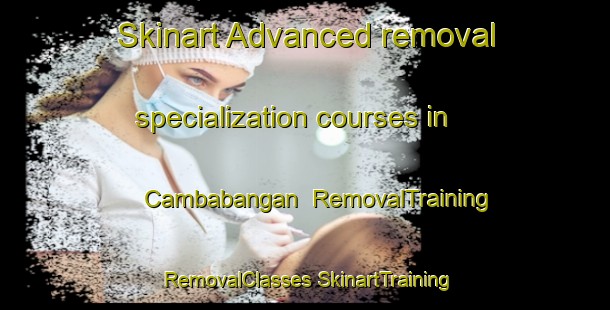 Skinart Advanced removal specialization courses in Cambabangan | #RemovalTraining #RemovalClasses #SkinartTraining-Philippines