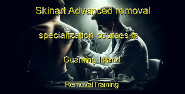 Skinart Advanced removal specialization courses in Cuaming Island | RemovalTraining | RemovalClasses | SkinartTraining-Philippines