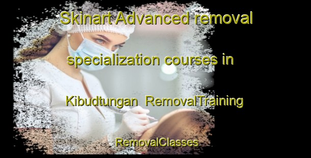 Skinart Advanced removal specialization courses in Kibudtungan | RemovalTraining | RemovalClasses | SkinartTraining-Philippines
