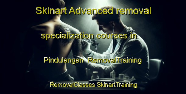 Skinart Advanced removal specialization courses in Pindulangan | #RemovalTraining #RemovalClasses #SkinartTraining-Philippines