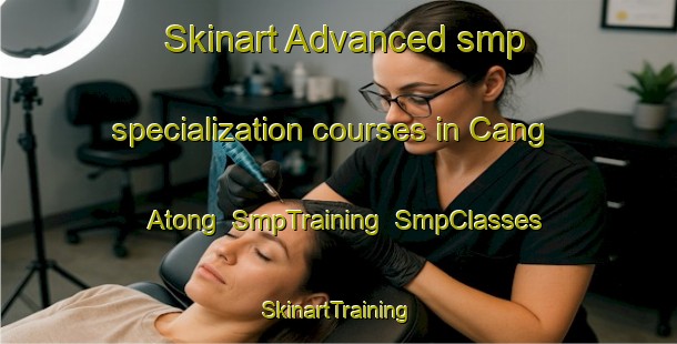 Skinart Advanced smp specialization courses in Cang Atong | SmpTraining | SmpClasses | SkinartTraining-Philippines