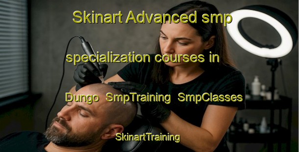 Skinart Advanced smp specialization courses in Dungo | SmpTraining | SmpClasses | SkinartTraining-Philippines