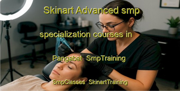 Skinart Advanced smp specialization courses in Pangabat | SmpTraining | SmpClasses | SkinartTraining-Philippines