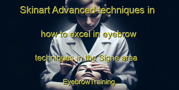 Skinart Advanced techniques in how to excel in eyebrow techniques in the Signe area | EyebrowTraining | EyebrowClasses | SkinartTraining-Philippines