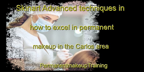 Skinart Advanced techniques in how to excel in permanent makeup in the Carlos area | PermanentmakeupTraining | PermanentmakeupClasses | SkinartTraining-Philippines