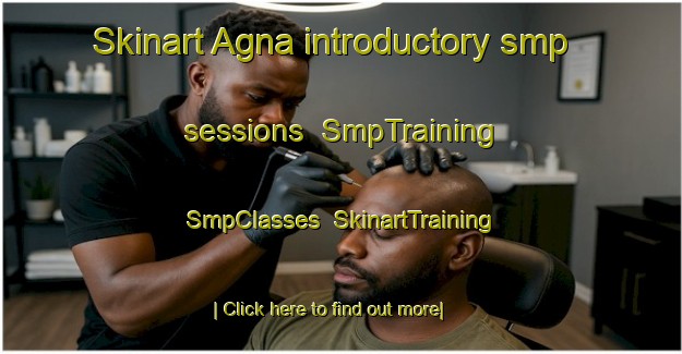 Skinart Agna introductory smp sessions | SmpTraining | SmpClasses | SkinartTraining-Philippines