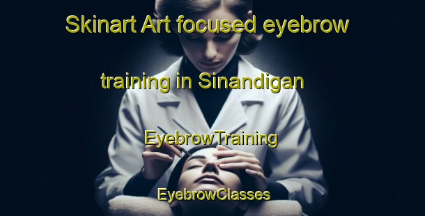 Skinart Art-focused eyebrow training in Sinandigan | EyebrowTraining | EyebrowClasses | SkinartTraining-Philippines