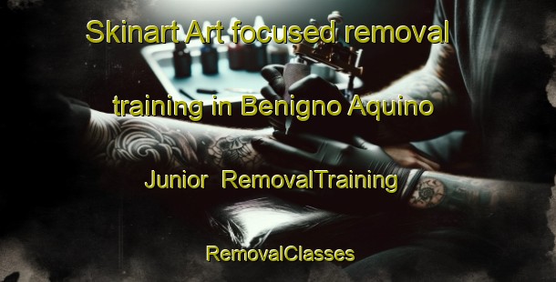 Skinart Art-focused removal training in Benigno Aquino Junior | RemovalTraining | RemovalClasses | SkinartTraining-Philippines