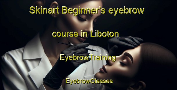 Skinart Beginner's eyebrow course in Liboton | EyebrowTraining | EyebrowClasses | SkinartTraining-Philippines