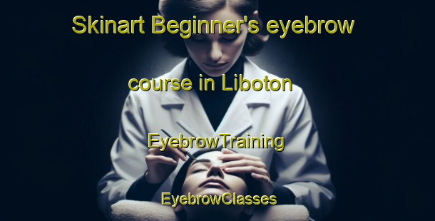 Skinart Beginner's eyebrow course in Liboton | EyebrowTraining | EyebrowClasses | SkinartTraining-Philippines