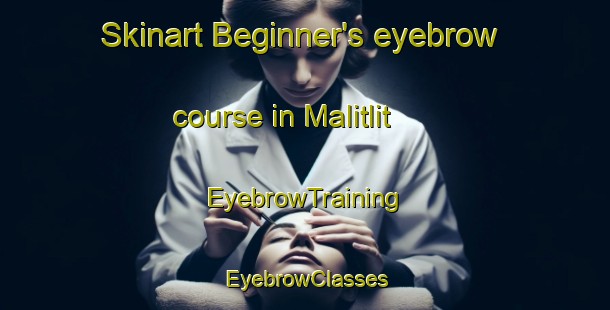 Skinart Beginner's eyebrow course in Malitlit | EyebrowTraining | EyebrowClasses | SkinartTraining-Philippines