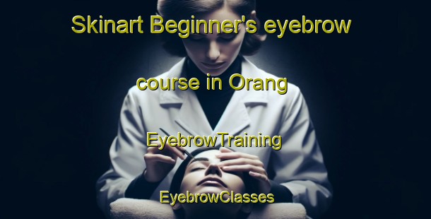 Skinart Beginner's eyebrow course in Orang | EyebrowTraining | EyebrowClasses | SkinartTraining-Philippines
