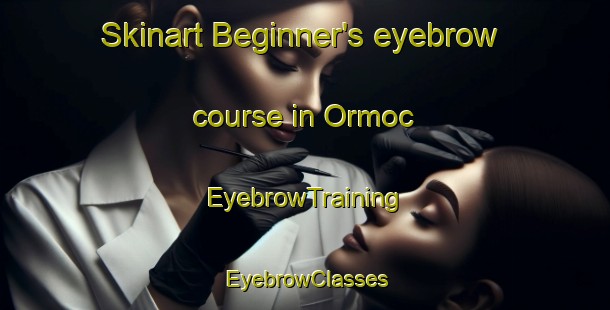 Skinart Beginner's eyebrow course in Ormoc | EyebrowTraining | EyebrowClasses | SkinartTraining-Philippines
