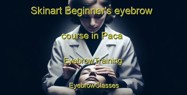 Skinart Beginner's eyebrow course in Paca | EyebrowTraining | EyebrowClasses | SkinartTraining-Philippines