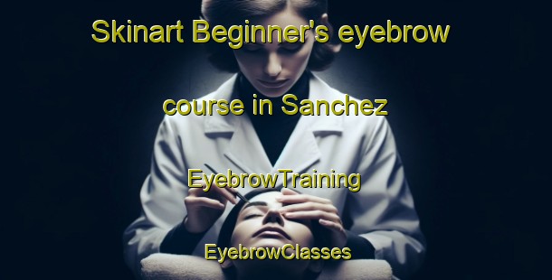 Skinart Beginner's eyebrow course in Sanchez | EyebrowTraining | EyebrowClasses | SkinartTraining-Philippines