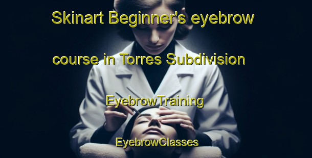 Skinart Beginner's eyebrow course in Torres Subdivision | EyebrowTraining | EyebrowClasses | SkinartTraining-Philippines