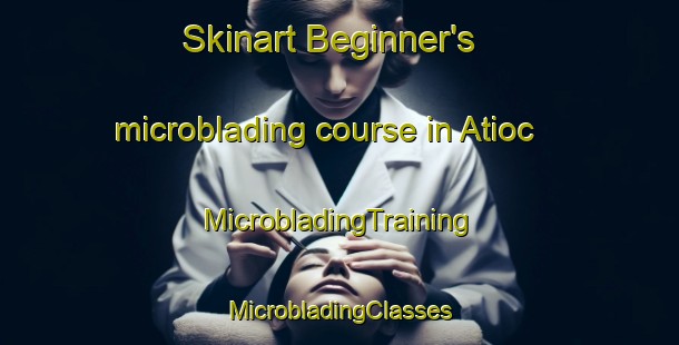 Skinart Beginner's microblading course in Atioc | #MicrobladingTraining #MicrobladingClasses #SkinartTraining-Philippines