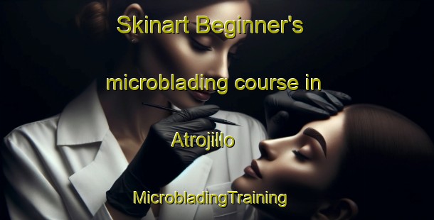 Skinart Beginner's microblading course in Atrojillo | MicrobladingTraining | MicrobladingClasses | SkinartTraining-Philippines