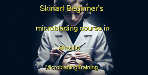 Skinart Beginner's microblading course in Atrojillo | MicrobladingTraining | MicrobladingClasses | SkinartTraining-Philippines