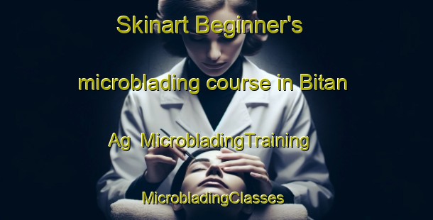Skinart Beginner's microblading course in Bitan Ag | MicrobladingTraining | MicrobladingClasses | SkinartTraining-Philippines