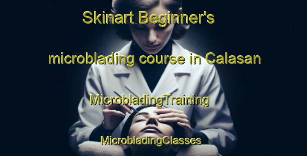Skinart Beginner's microblading course in Calasan | MicrobladingTraining | MicrobladingClasses | SkinartTraining-Philippines