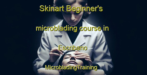 Skinart Beginner's microblading course in Escribano | MicrobladingTraining | MicrobladingClasses | SkinartTraining-Philippines