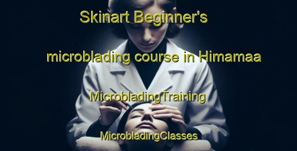 Skinart Beginner's microblading course in Himamaa | #MicrobladingTraining #MicrobladingClasses #SkinartTraining-Philippines