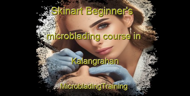 Skinart Beginner's microblading course in Kalangrahan | #MicrobladingTraining #MicrobladingClasses #SkinartTraining-Philippines