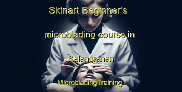 Skinart Beginner's microblading course in Kalangrahan | #MicrobladingTraining #MicrobladingClasses #SkinartTraining-Philippines