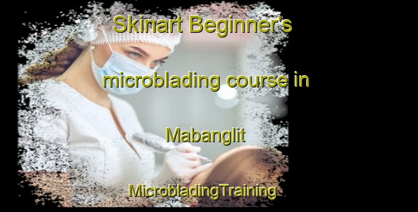 Skinart Beginner's microblading course in Mabanglit | MicrobladingTraining | MicrobladingClasses | SkinartTraining-Philippines