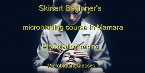 Skinart Beginner's microblading course in Mamara | MicrobladingTraining | MicrobladingClasses | SkinartTraining-Philippines