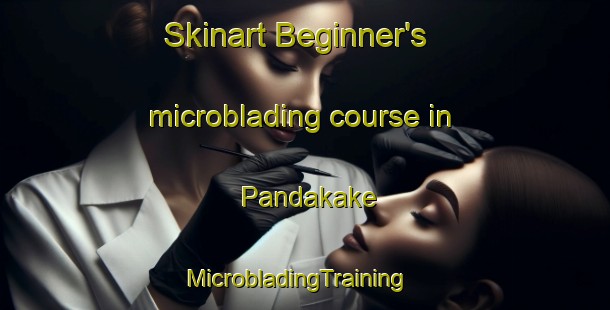 Skinart Beginner's microblading course in Pandakake | MicrobladingTraining | MicrobladingClasses | SkinartTraining-Philippines