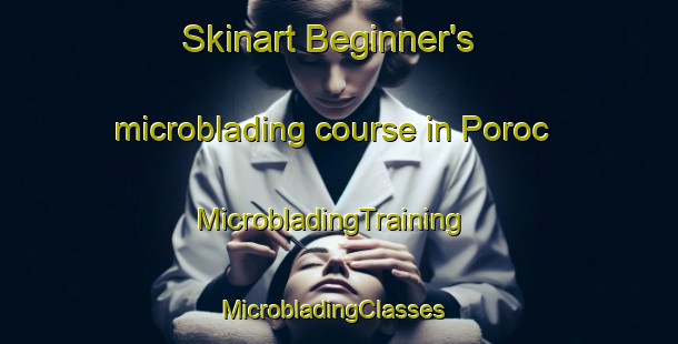 Skinart Beginner's microblading course in Poroc | MicrobladingTraining | MicrobladingClasses | SkinartTraining-Philippines