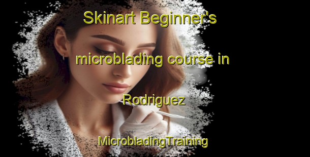 Skinart Beginner's microblading course in Rodriguez | #MicrobladingTraining #MicrobladingClasses #SkinartTraining-Philippines