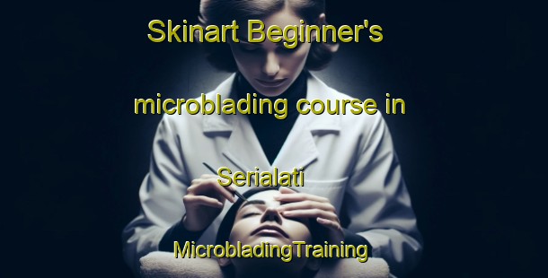 Skinart Beginner's microblading course in Serialati | #MicrobladingTraining #MicrobladingClasses #SkinartTraining-Philippines