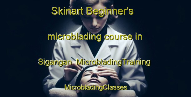 Skinart Beginner's microblading course in Sigangan | #MicrobladingTraining #MicrobladingClasses #SkinartTraining-Philippines