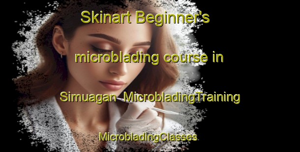 Skinart Beginner's microblading course in Simuagan | MicrobladingTraining | MicrobladingClasses | SkinartTraining-Philippines